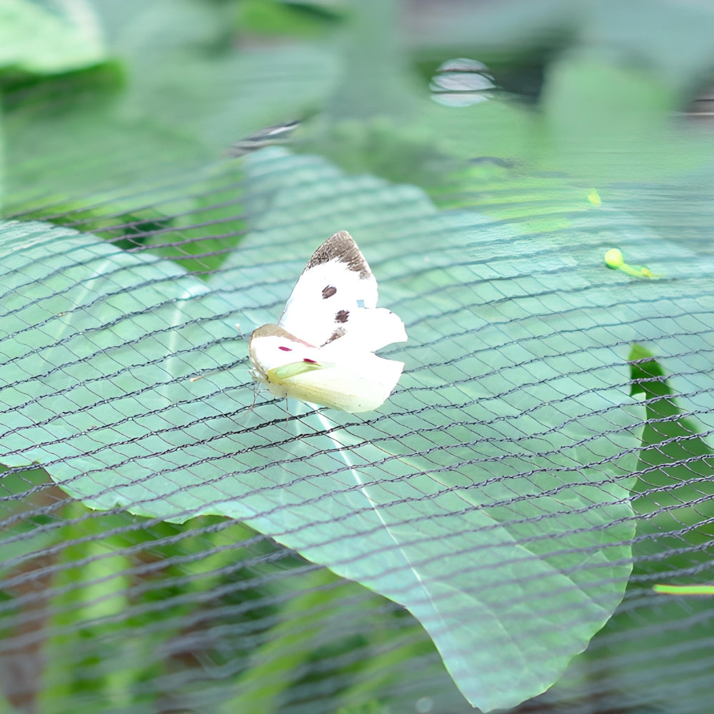 Black Butterfly Netting with White Butterfly