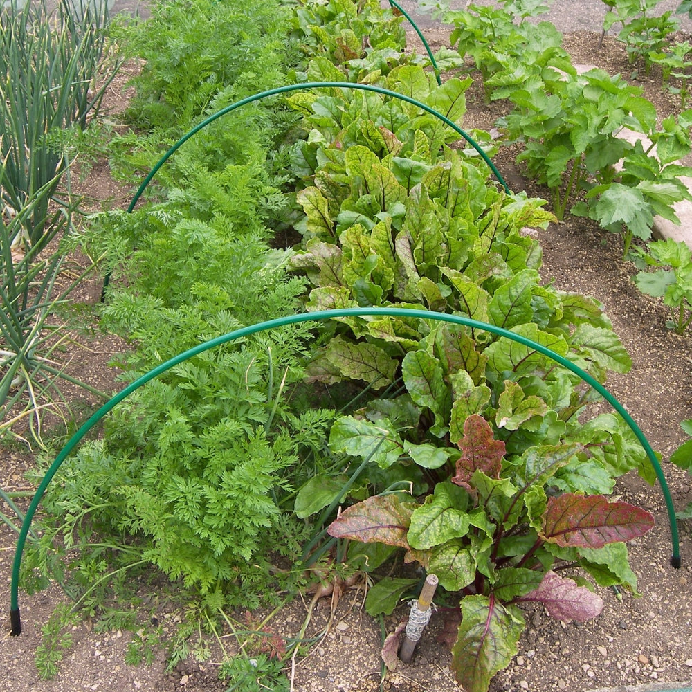 Green Flexible Garden Hoop