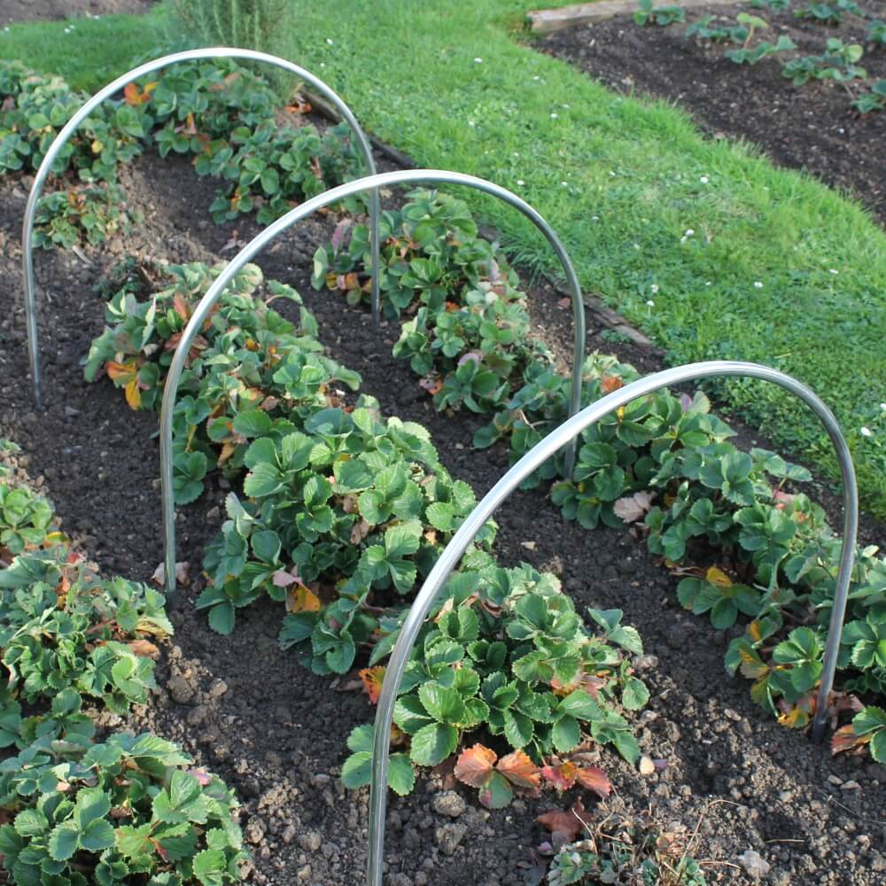 High Top Hoops Used on Crop Field