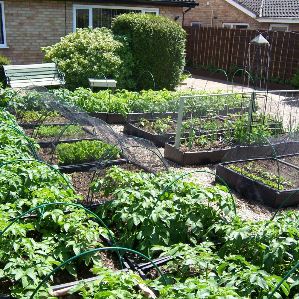Multiple Green Flexible Garden Hoops