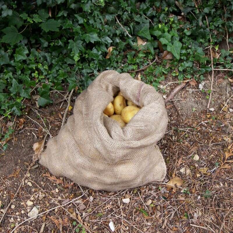 Potato Sacks for Storing Grown Potatoes