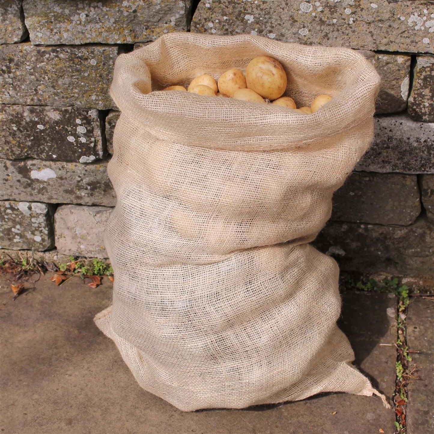 Potato Storage Sacks for Home Garden