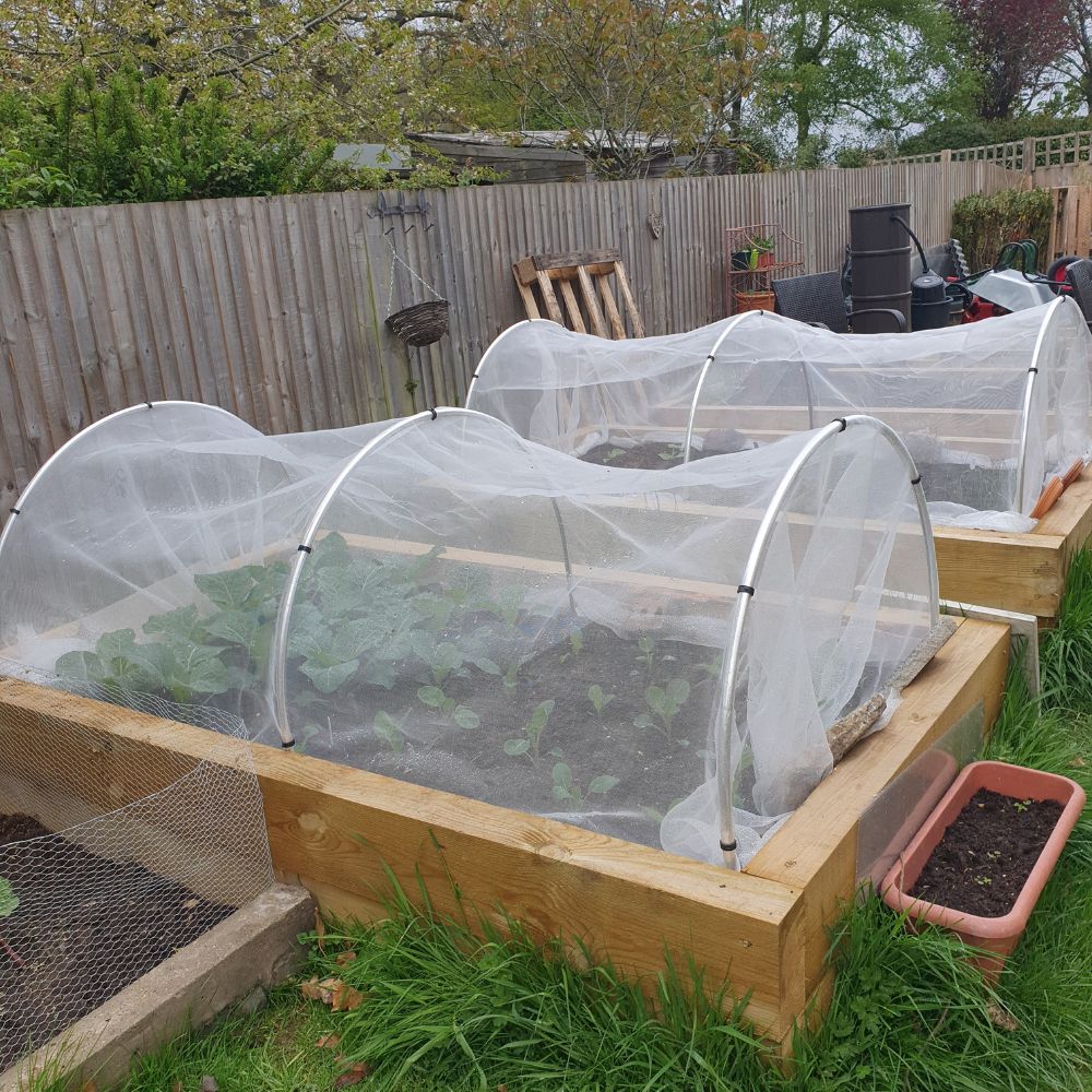 Rounded Aluminium Hoops in Garden Tunnel