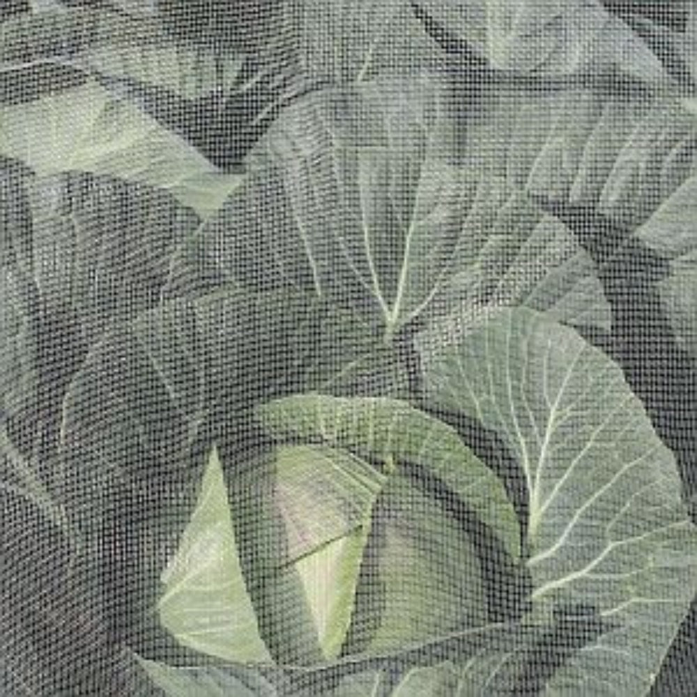 Ultrafine Insect Netting Protecting Cabbage Crops