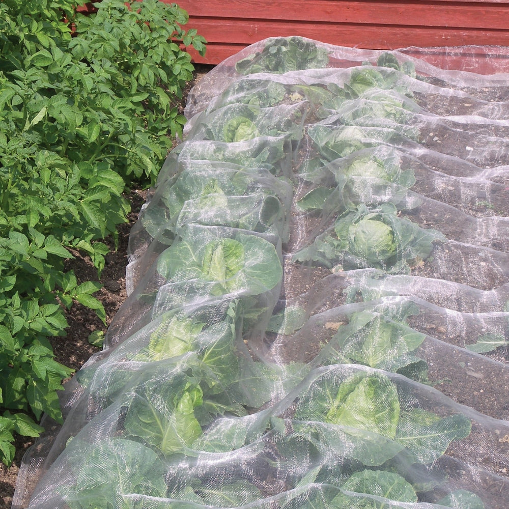 Ultrafine Insect Netting in Use on Garden