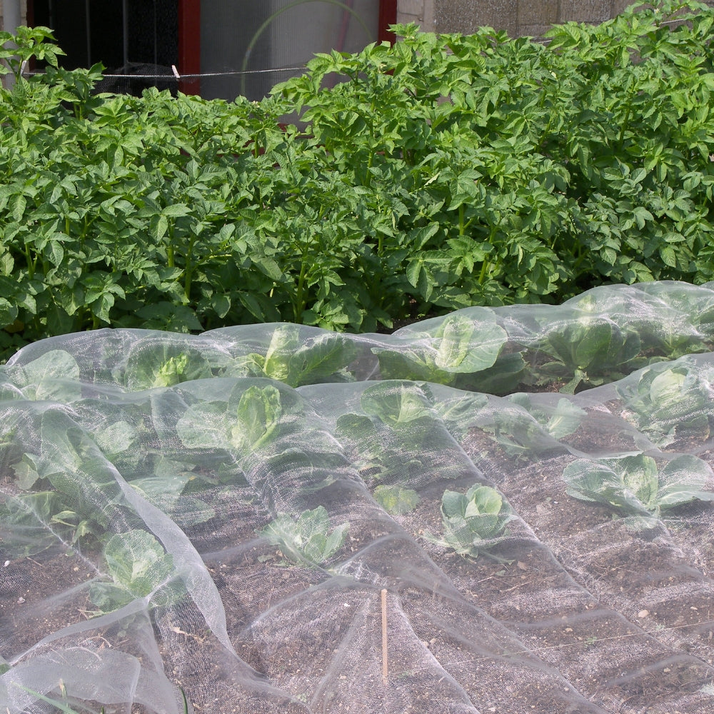 Ultrafine Insect Netting Installed on Crop Field