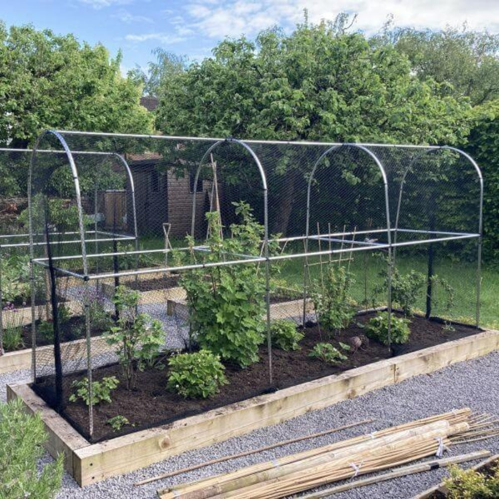 High Top Black Bird Netting Cage