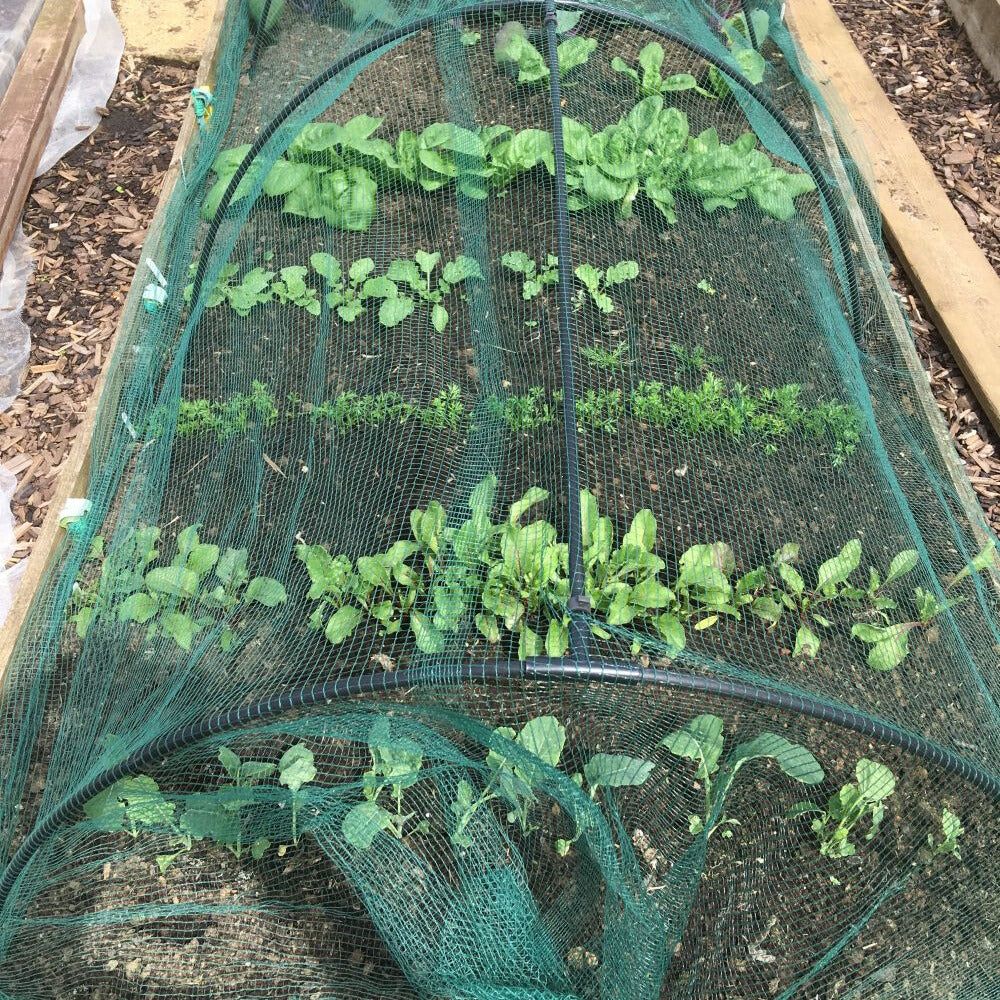 Black Flexible Hoop Tunnels Covering Crop