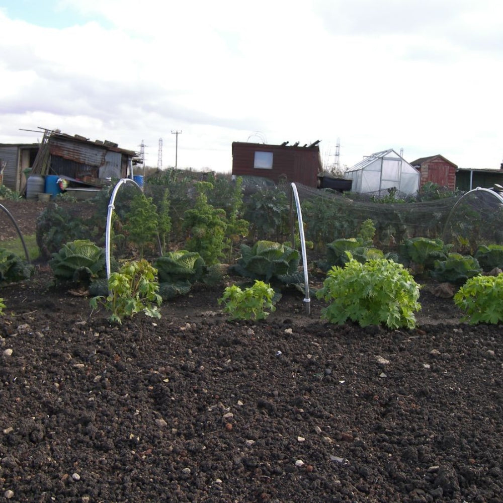 Butterfly Netting Covering Vegetable Crops