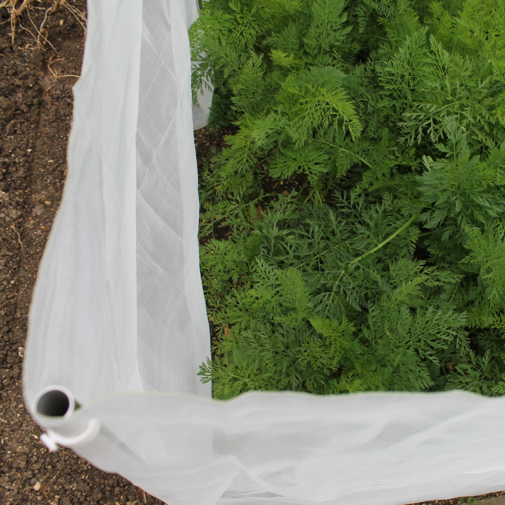 Carrot Netting Fence Installed in Garden