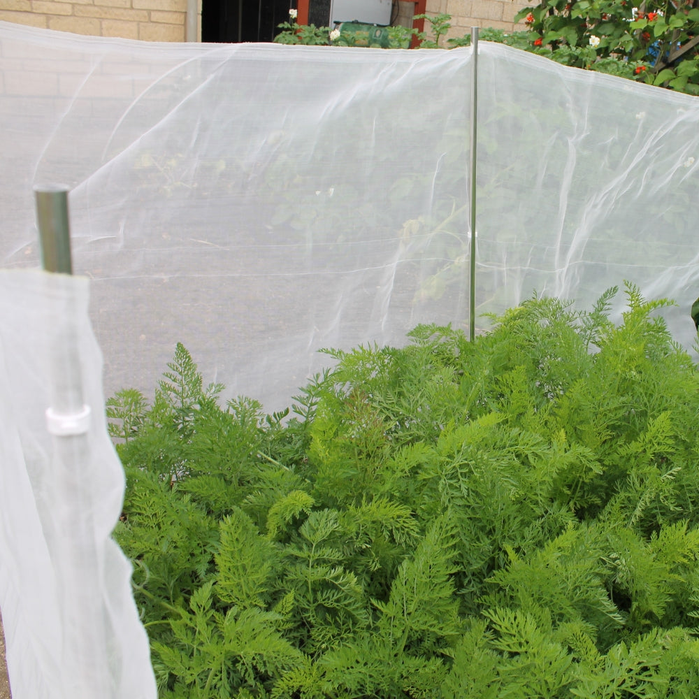 Carrot Protection Netting