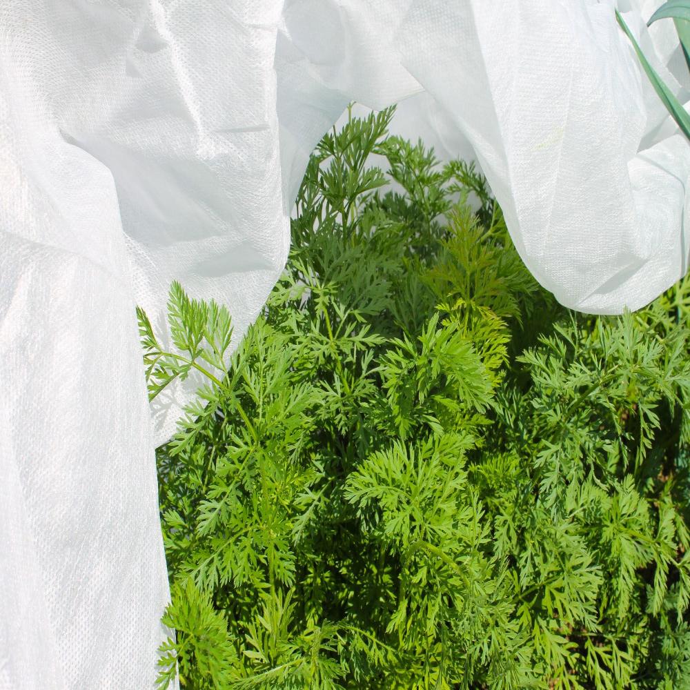 Horticultural Fleece for Crop Protection
