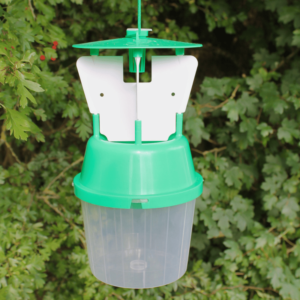 Raspberry Beetle Trap and Refill