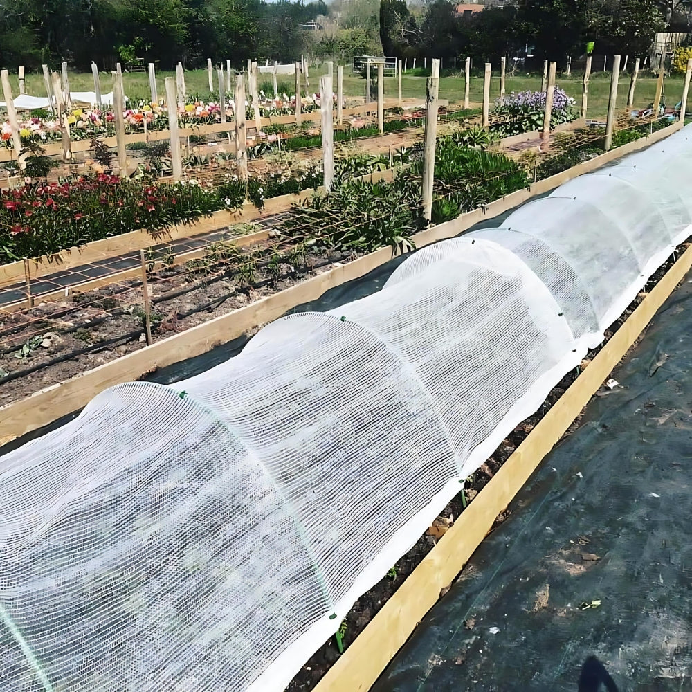 Therma crop Fleece and Netting Protecting Vegetable Crops
