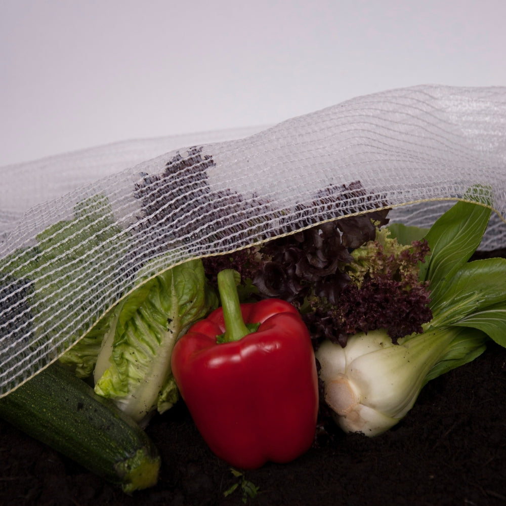 Horticultural Polythene Sheeting for Greenhouse and Polytunnel