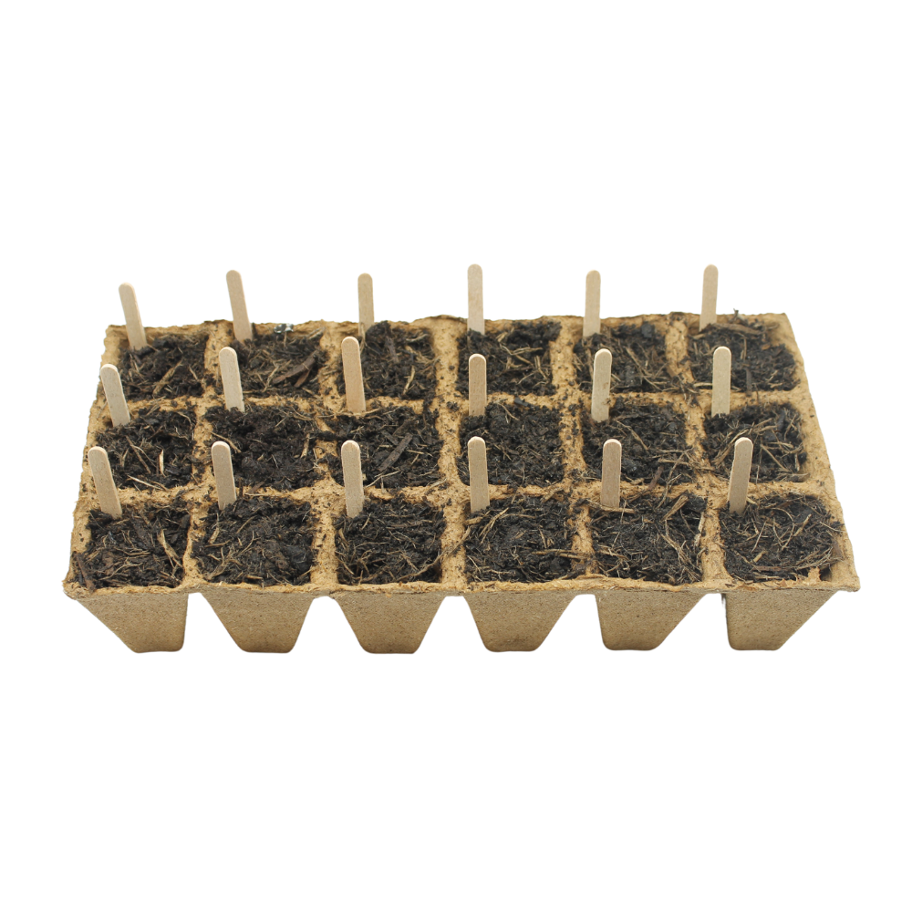 Wood Fibre Biodegradable Plant Pot