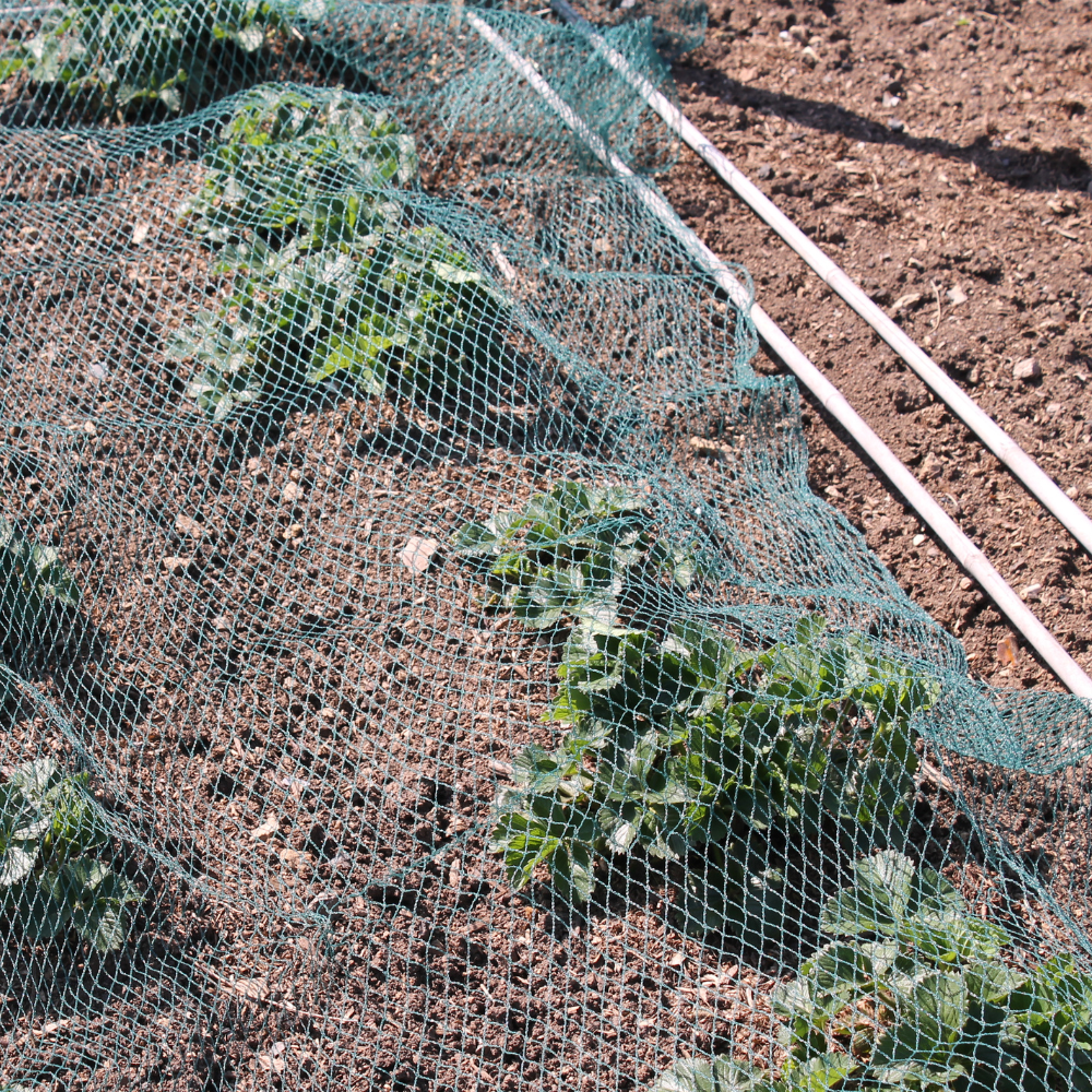 Bird Netting Green 100m Rolls