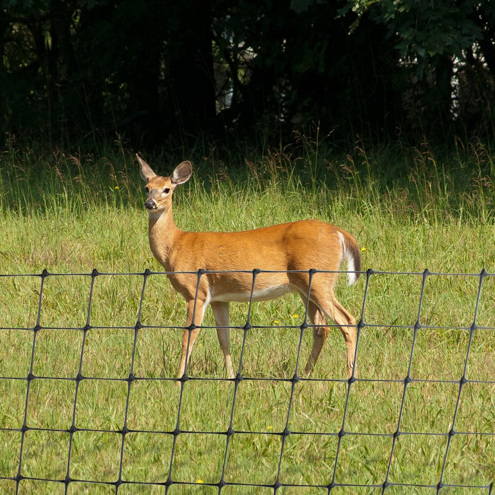 deer netting in field