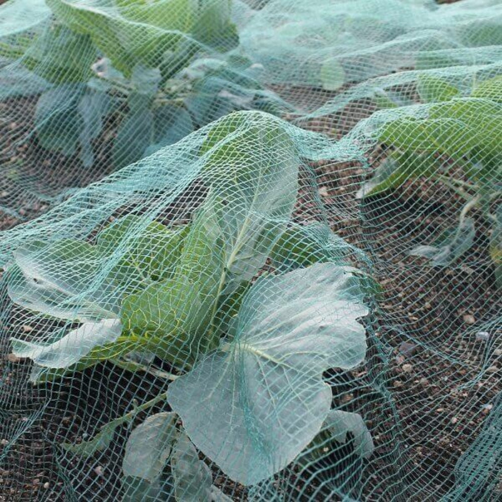 Bird Netting Green 100m Rolls