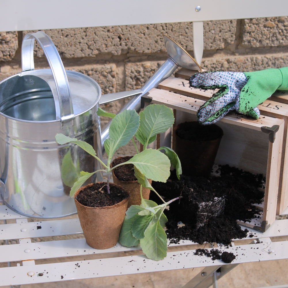 Watering Can with Biodegradable Pots Ready for Planting