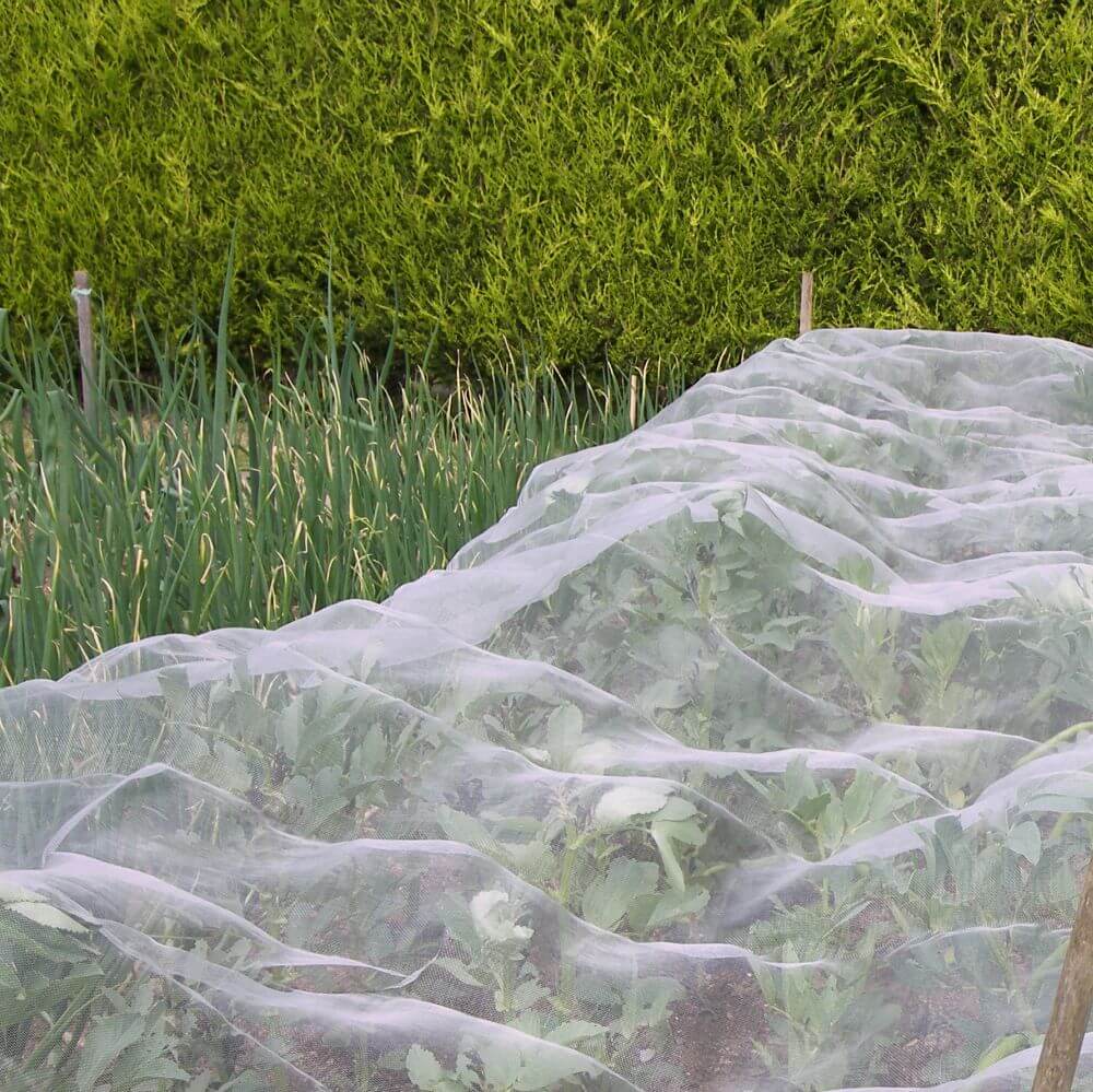 Vegetable garden mesh rolls of 100m shown over vegetables to stop pests.