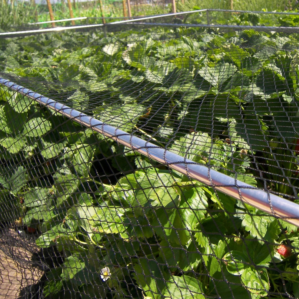 Bird Netting Black 50m & 100m Rolls – Commercial-Grower