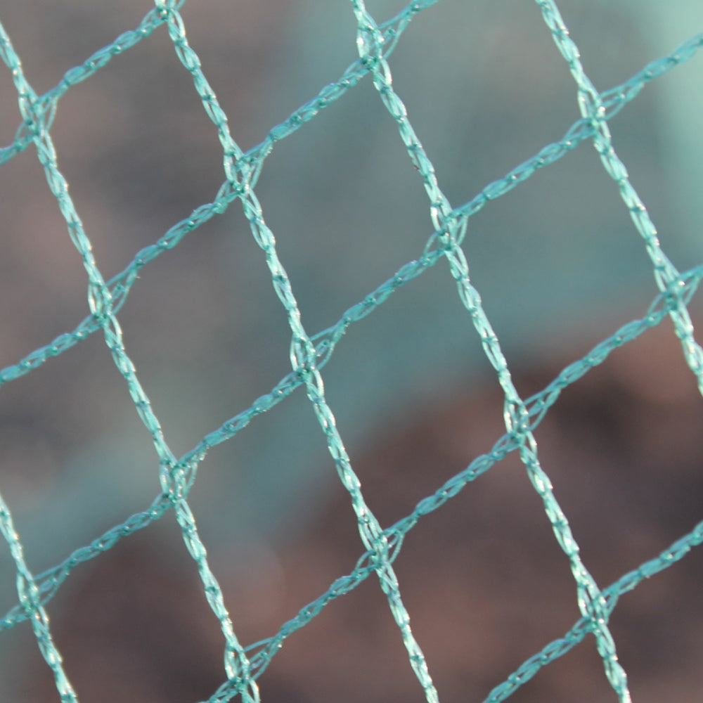 close up of green bird netting