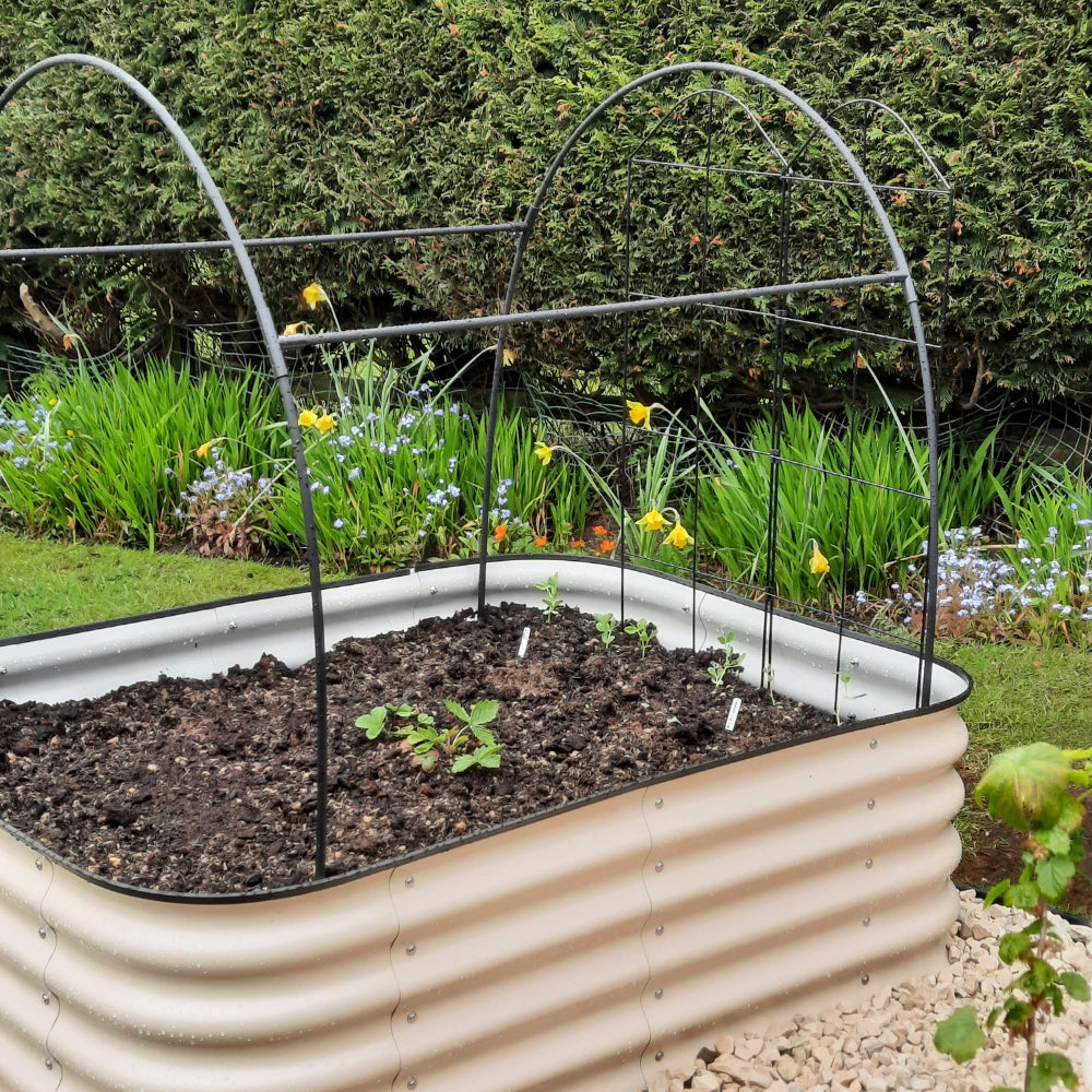 Black Hoop Tunnels Covering Vegetable Crops