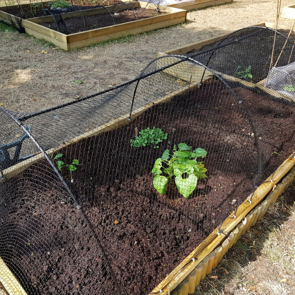 Black Flexible Hoop Tunnels Covering Vegetable Crops