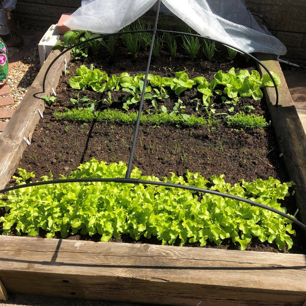 Black Flexible Hoop Tunnels Covering Crops