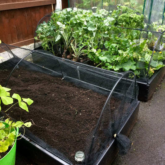 Black Flexible Hoop Tunnels Covering Vegetable Crop