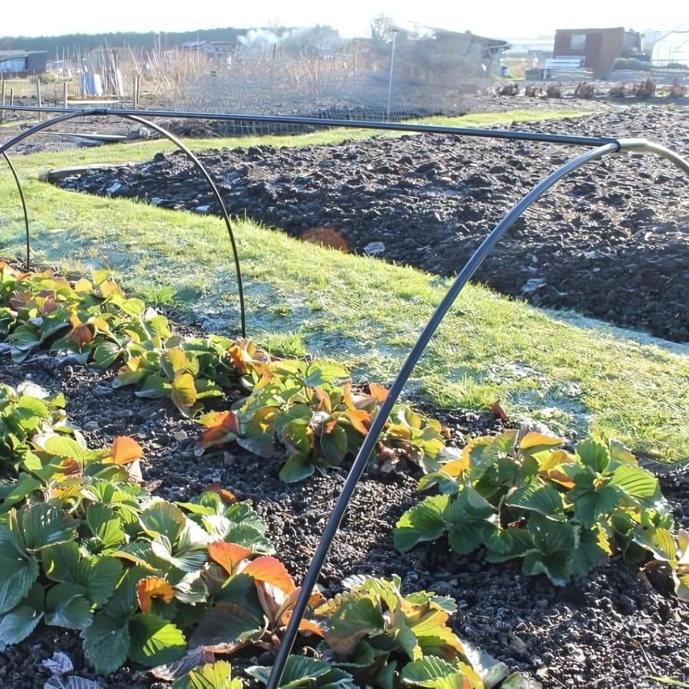 Black Flexible Tunnels Covering Vegetable Crops