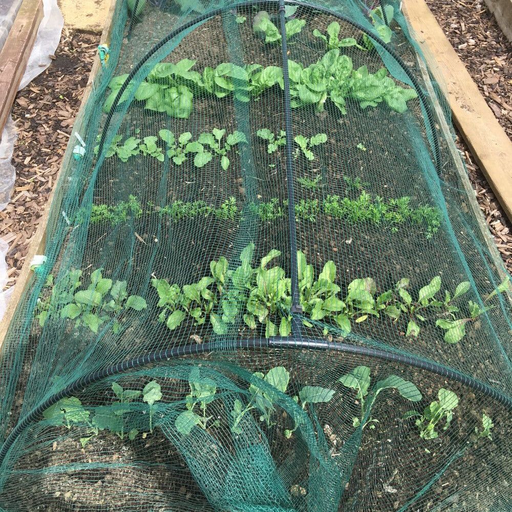 black-flexible-tunnels-over-vegetables