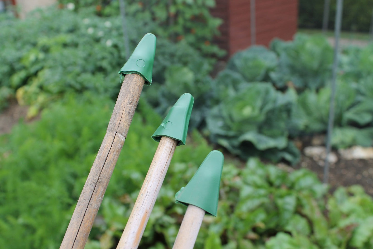 Close-up of Steel Garden Pegs