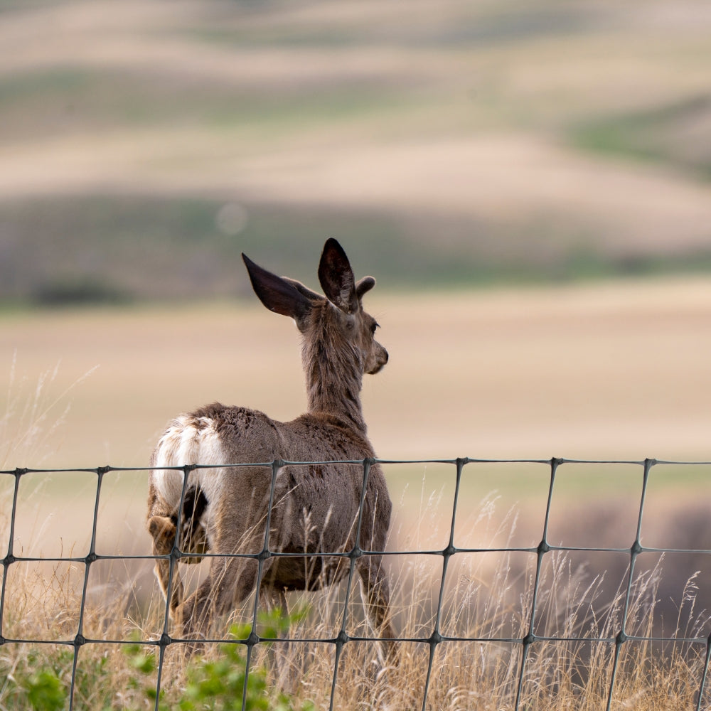 Deer Netting Installed in Crop Field