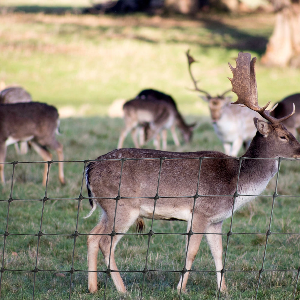 deer_netting_in_field_1