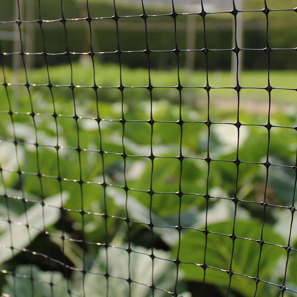 Bulk Fruit Cage Netting for Large Enclosures