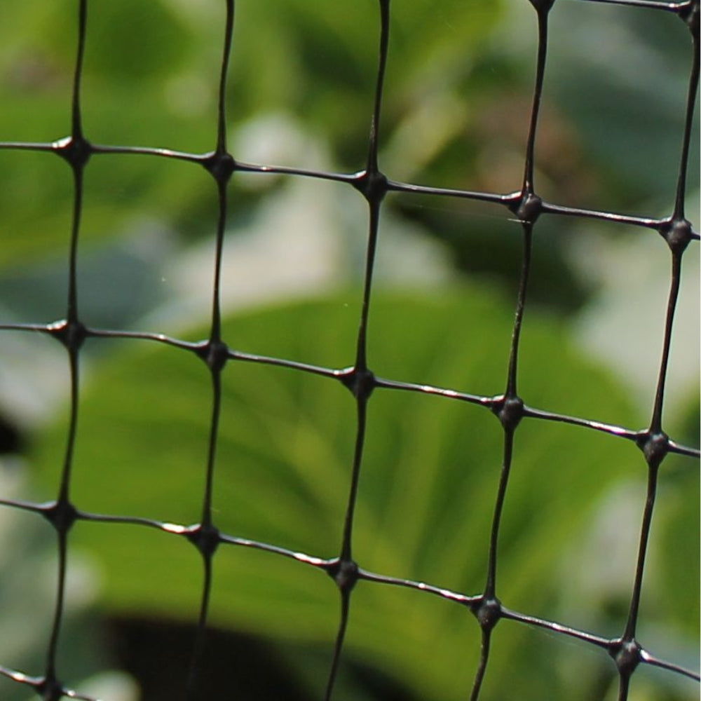 Close-Up of Fruit Cage Netting Mesh