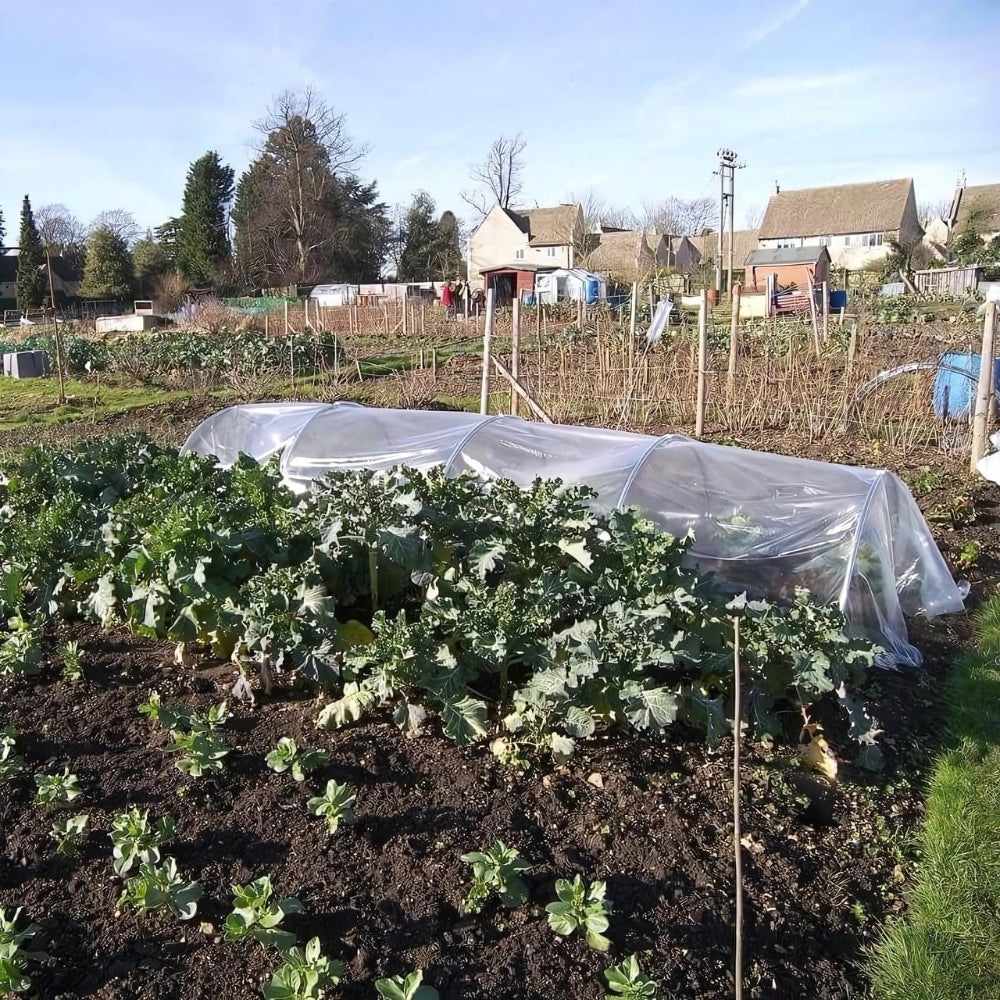 Horticultural Polythene Rolls for Garden and Farm Use