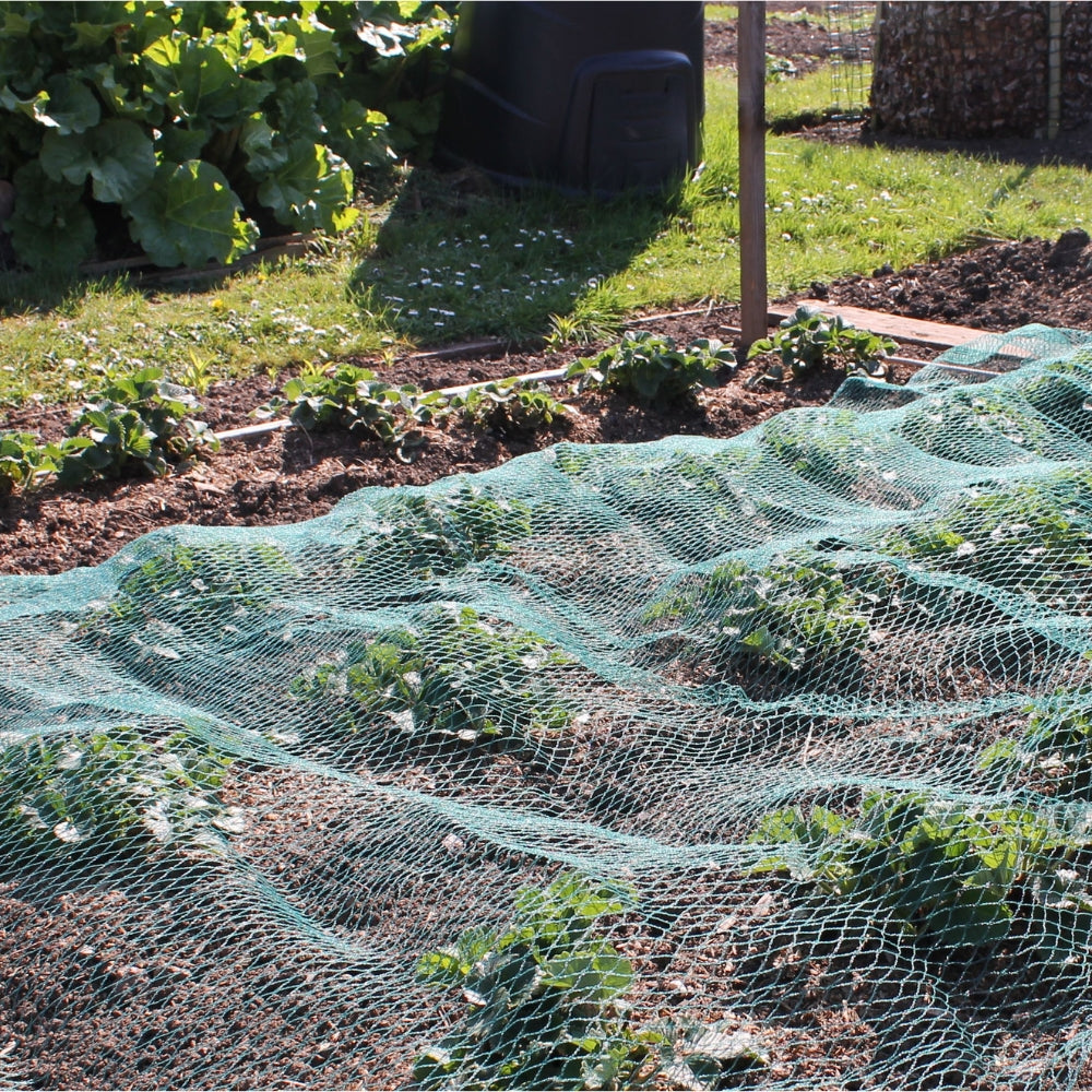 bird netting green on crops