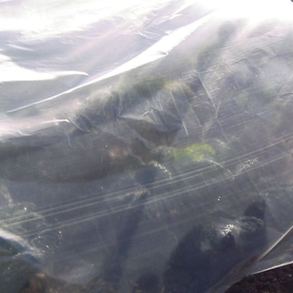 Horticultural Polythene Sheeting in Crop Field