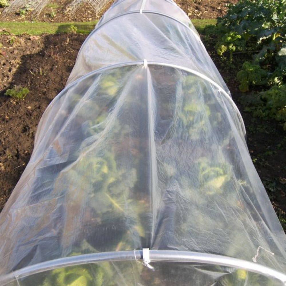 Horticultural Polythene Sheeting in Crop Field