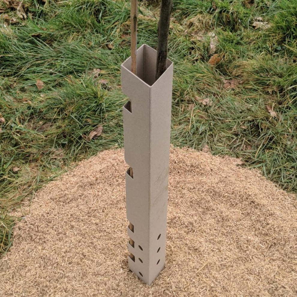 Biodegradable Tree Guards To Protect Young Trees – Commercial-Grower