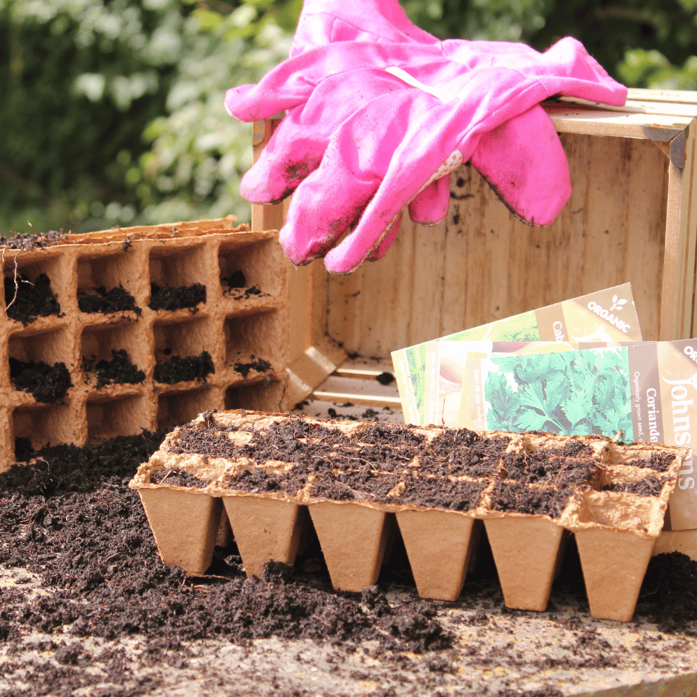 wood fibre pots